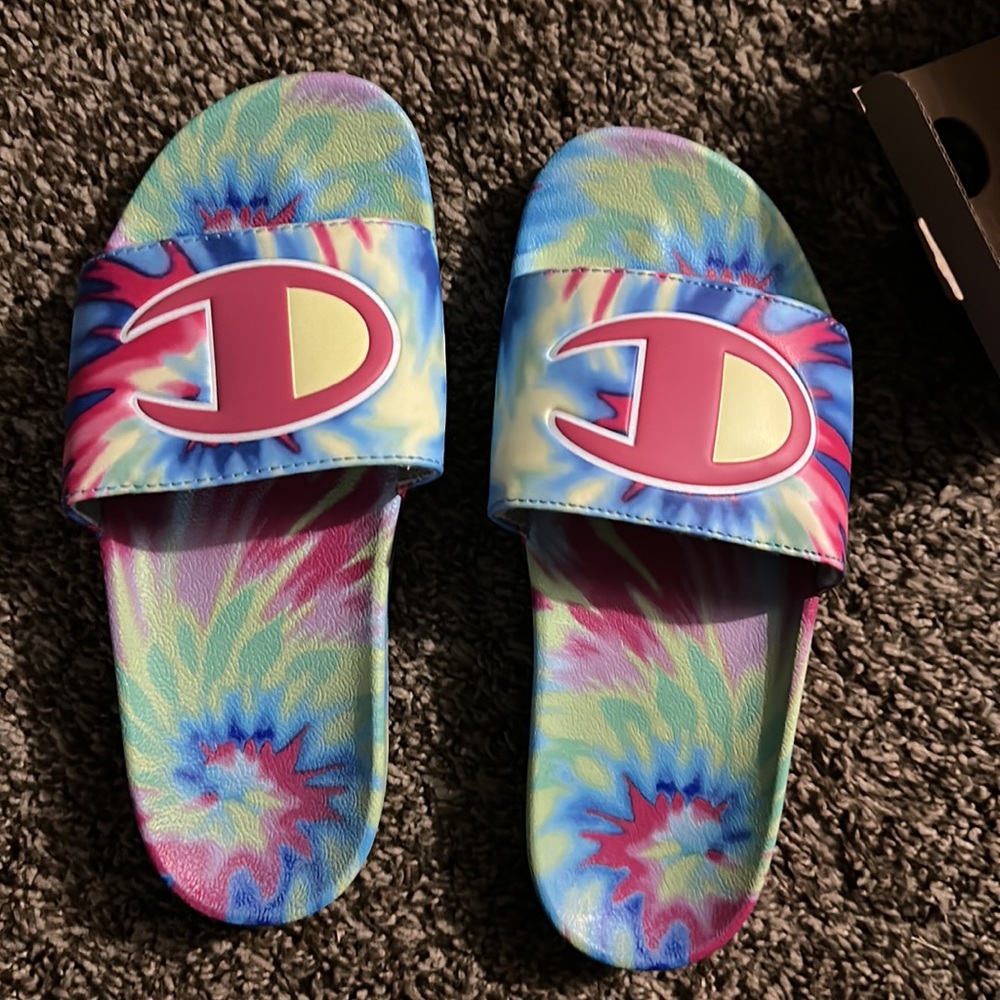 CHAMPION slides